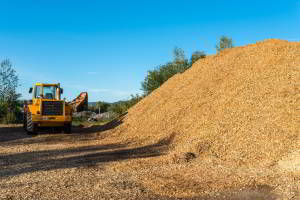 Vantaggi e svantaggi Biomasse